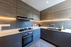 The Hillside (D21), Condominium #502538541